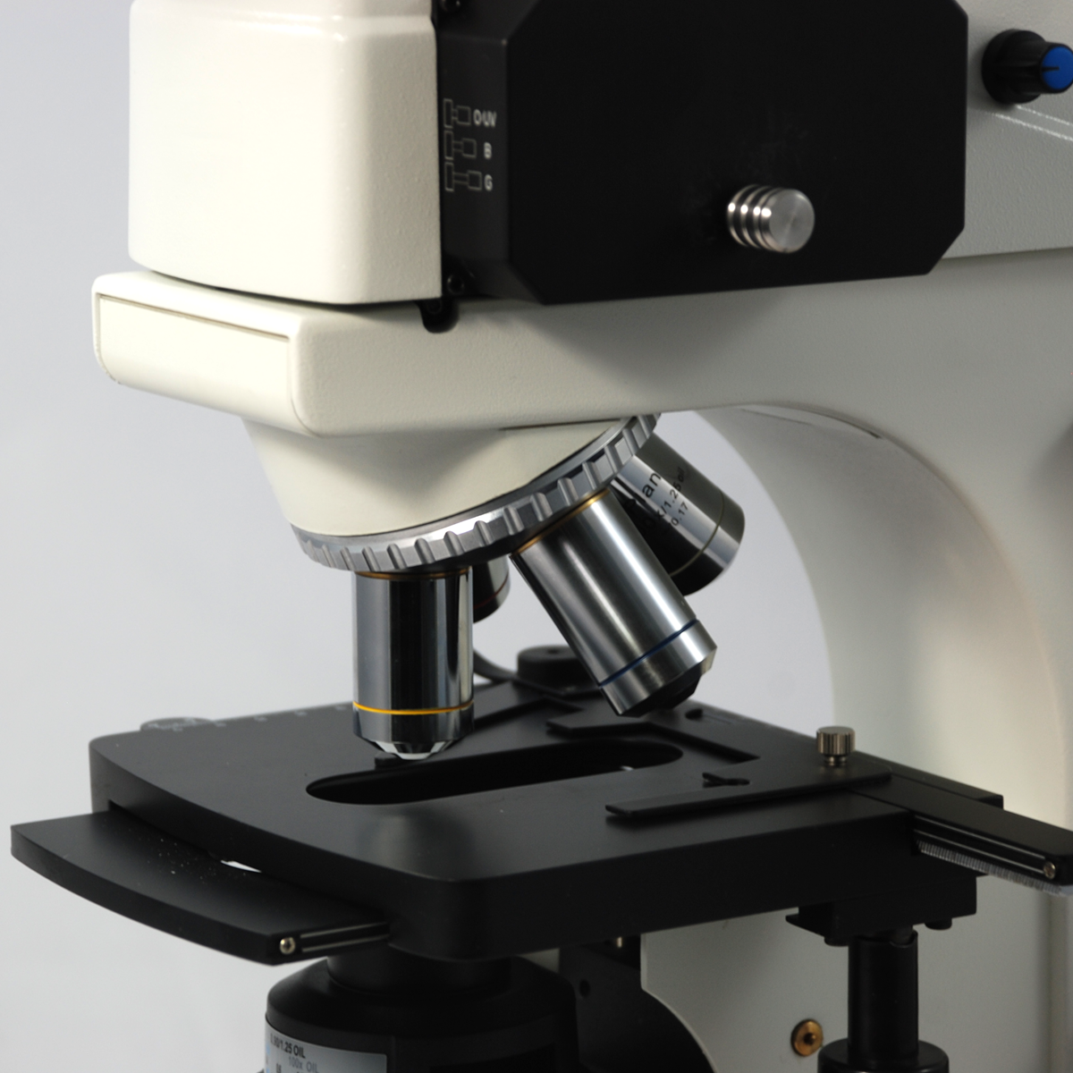 Fluorescence Microscope